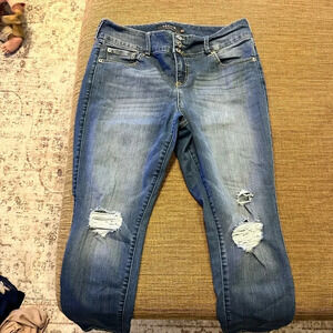Torrid Jeans